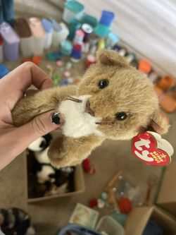 Ty Beanie Baby Manes