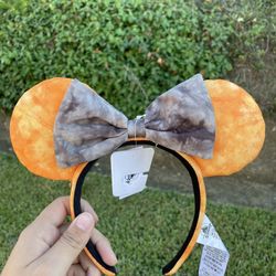Brand New Disney Ears 