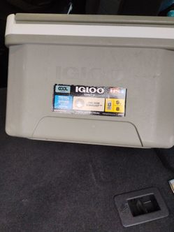 Small cooler with handle pickup only cash