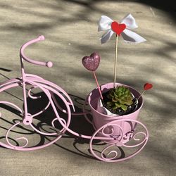 Cute Metal Bicycle Succulent Planter