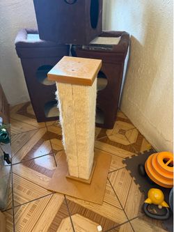 33.5” Cat Scratcher Tree - preloved