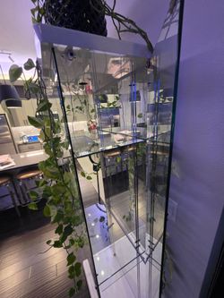 72x27x13 Tall Glass Display Cabinet with Top Opening For Lighting
