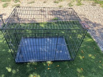 Cage dog lx