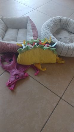 Dog Taco Outfit