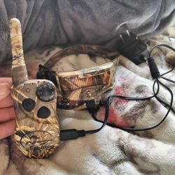 SportDOG Training Dog Shock Collar