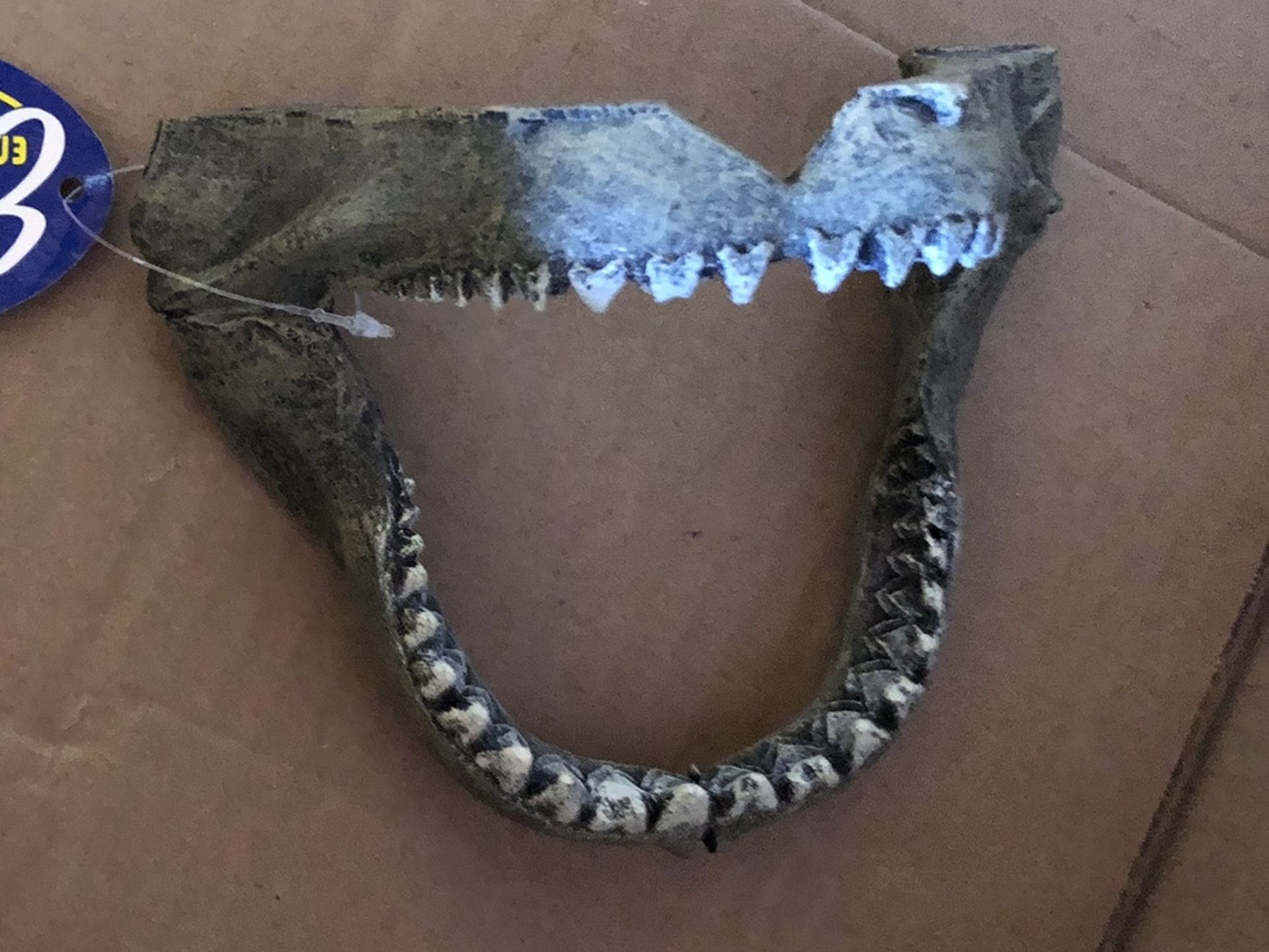 Shark Jaw Fish Tank Statue