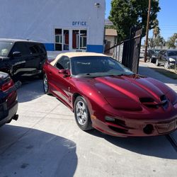 2000 Pontiac Firebird