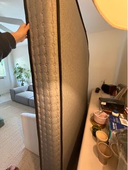 Free king firm mattress
