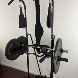 PULL UP & DIP BAR COMBO