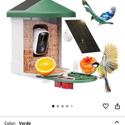 Bird Feeder Cam 
