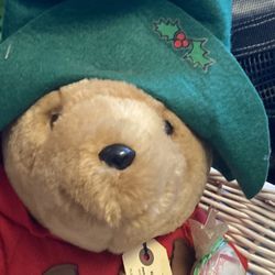Paddington Bear