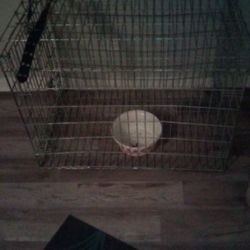 Large Dog Cage
