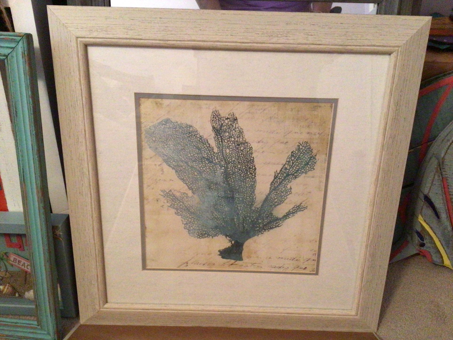 2 Beautiful Teal Sea fan Beautifully Framed & Double Matted - 21 3/4” Square - (Pd $70 EACH) $30 For Both!!