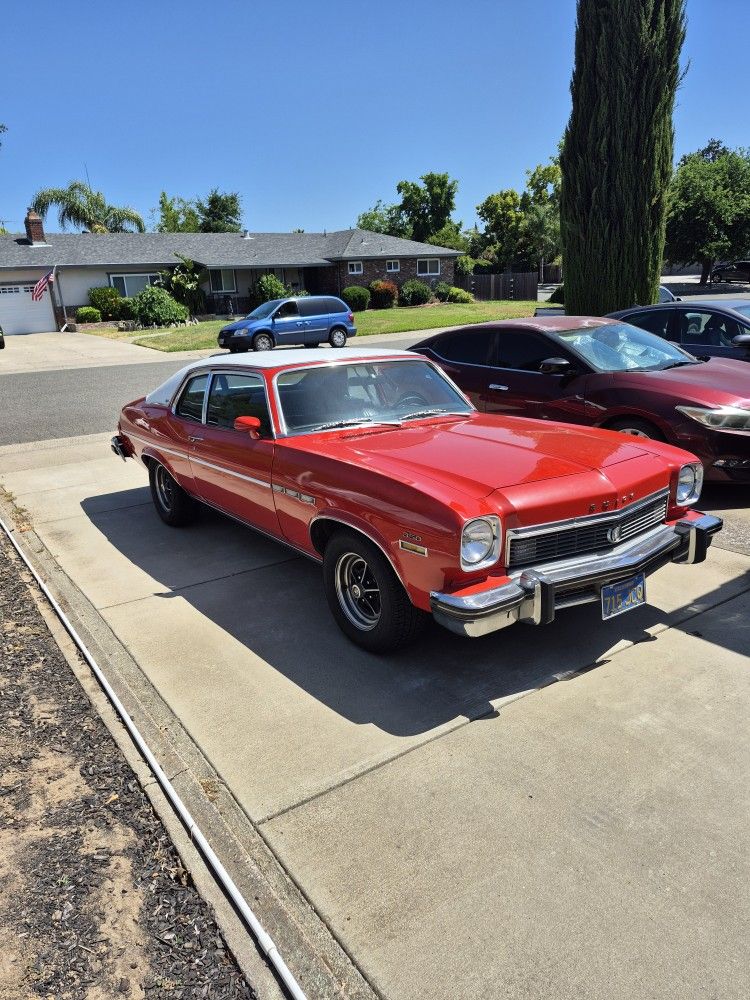 1974 Buick Skylark