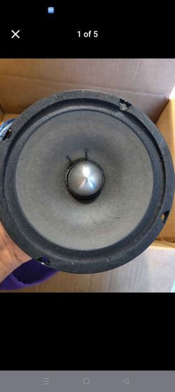 Speaker and wires