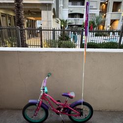 Schwinn 16-in Girls Jasmine Bicycle