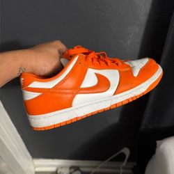 Nike Syracuse Dunks 