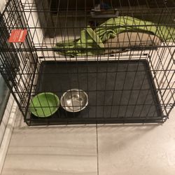 Dog Cage