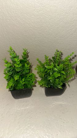 Artificial succulent decor minis super cute