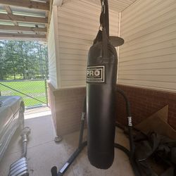 Punching bag