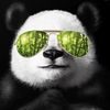 CollectingPanda