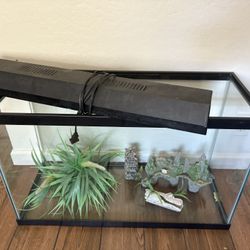 Fish Tank For Sale
