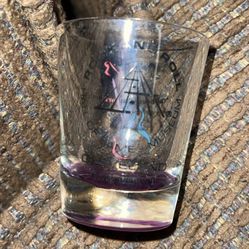 Official Rock N Roll Hall Of Fame Cleveland Ohio Shot Glass Vintage Collectible