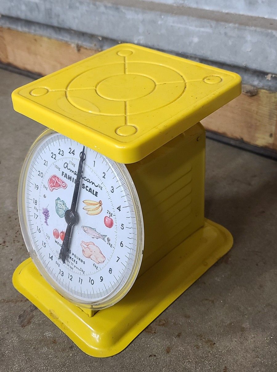 Nice Vintage American Family Metal Kitchen Scale