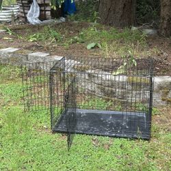 Dog Kennel