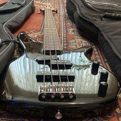 Bass Guitar Yamaha Or Case Gig Bag