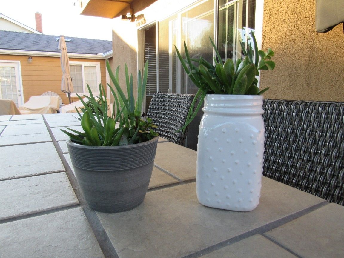 Set Of White Polka Dot & Gray Garden Pots With Succulents 