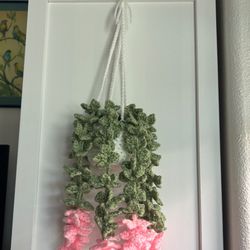 hanging plant crochet 🧶 