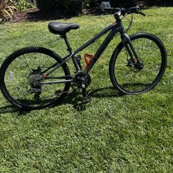 Trek Dual Sport 