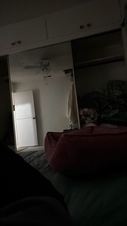 Large Moving Sale
