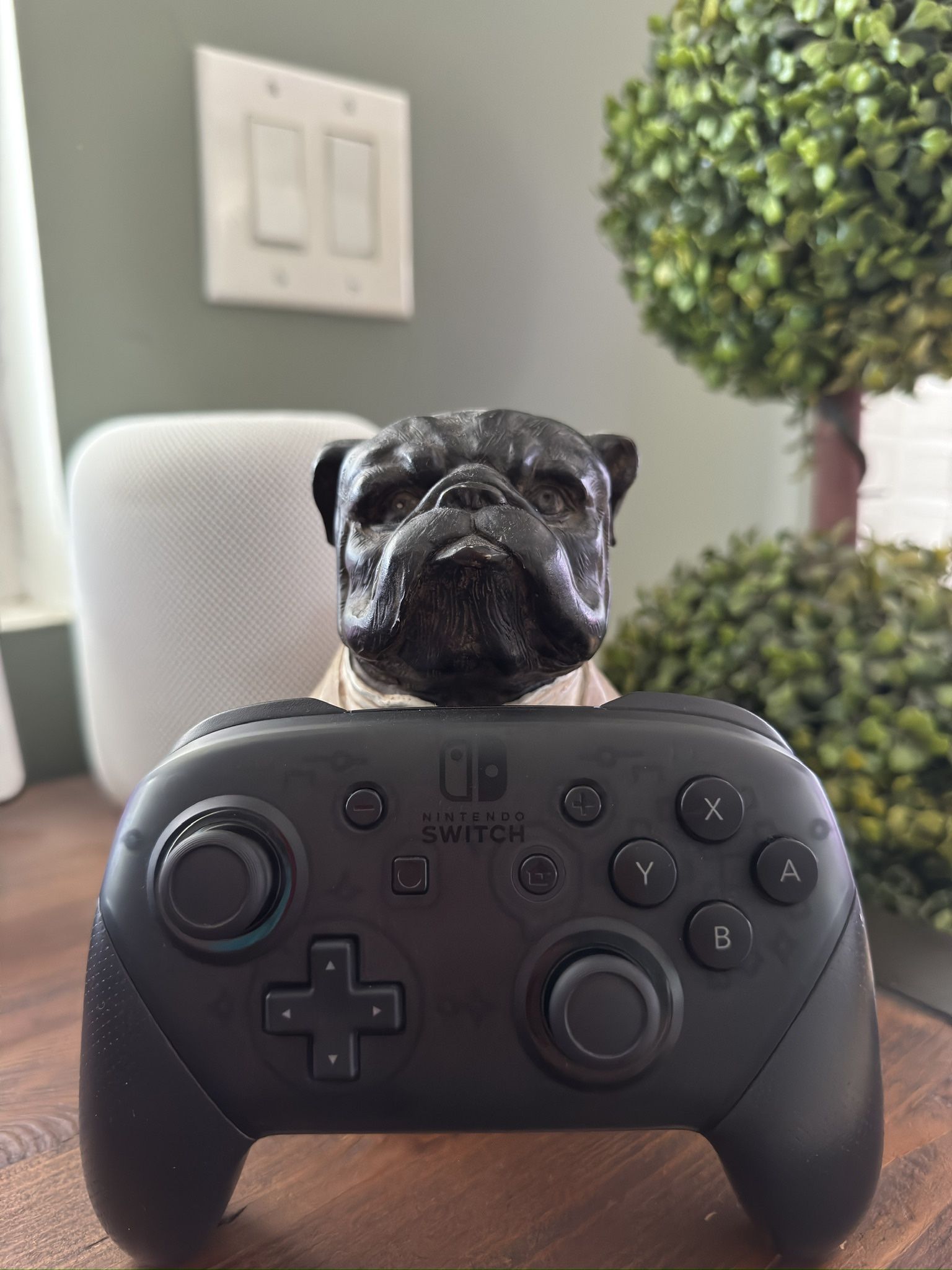 Nintendo Switch Pro Controller 
