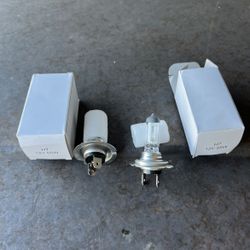 H7 12V 55W Halogen Bulbs