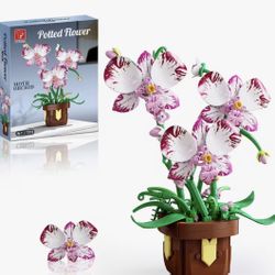 Orchid Model Building Set 