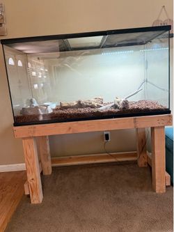 Reptile tank