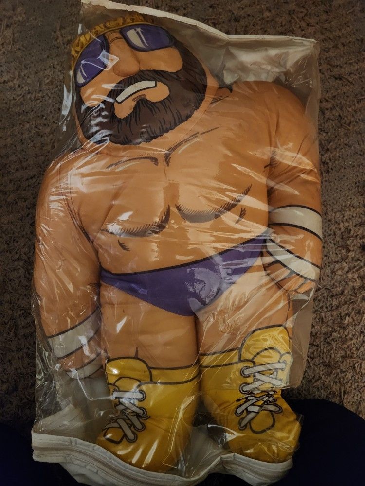 Wrestling Buddies Macho Man And Ulitmate Warrior.