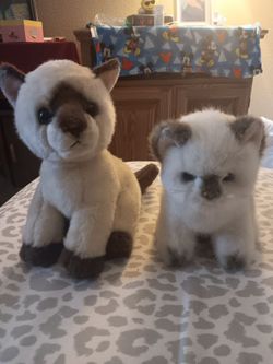 STUFF ANIMALS