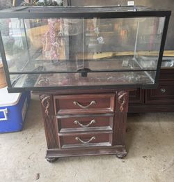 Reptile Aquarium 