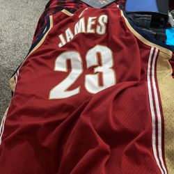 LeBron James Nike Jersey