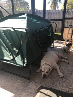 2 person Costway Cot Tent