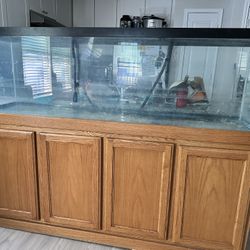 125 gallon aquarium 