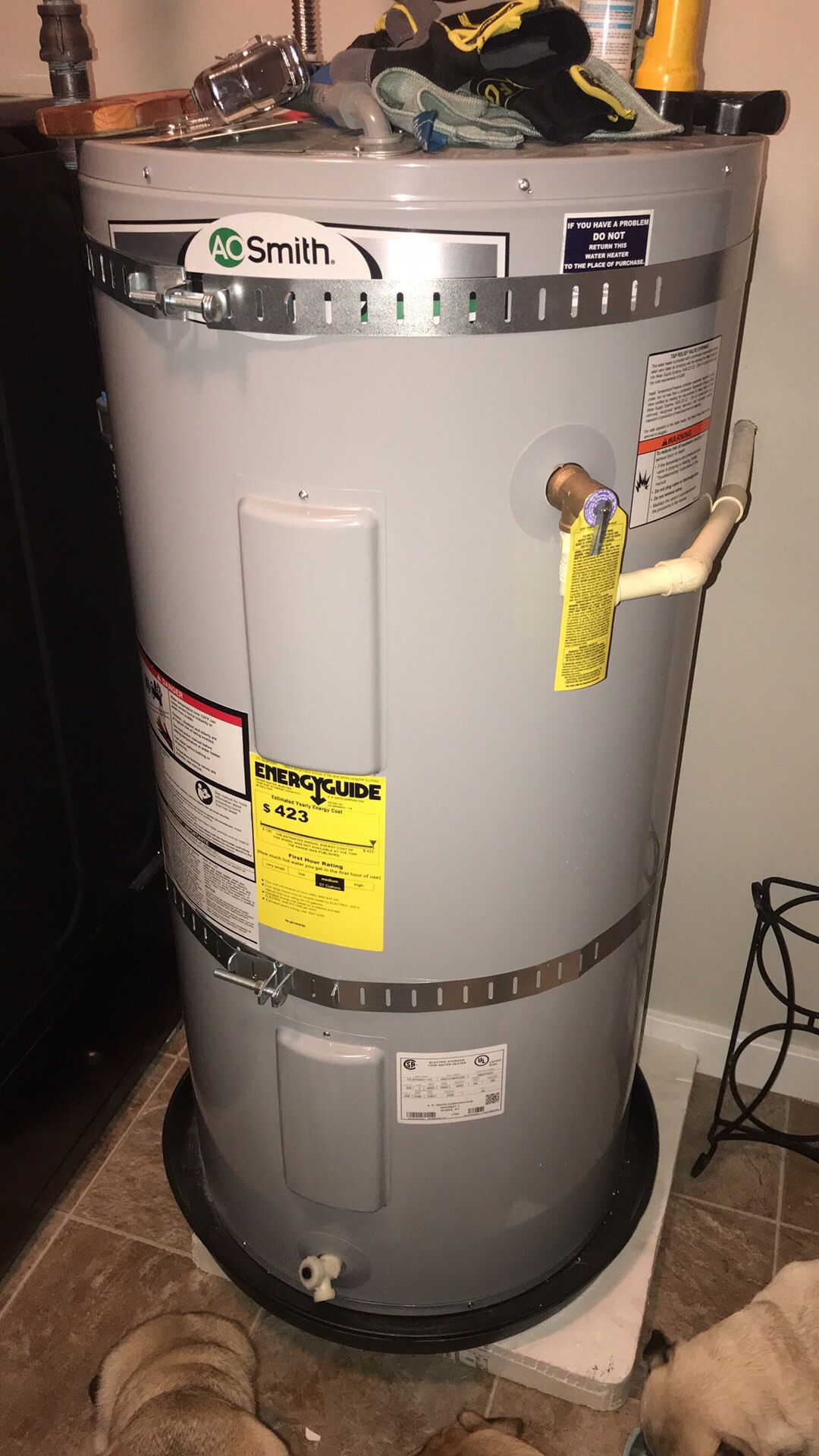 A.O. Smith Signature 50-Gallon Short 6-year Limited 4500-Watt Double Element Electric Water Heater Item # 816161 Model # E6-50R45DV