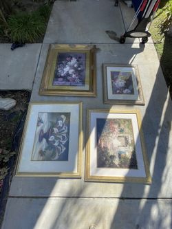 Framed Paintings