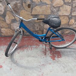 Beach Cruiser Bike