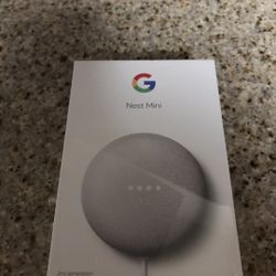 Google Nest Mini