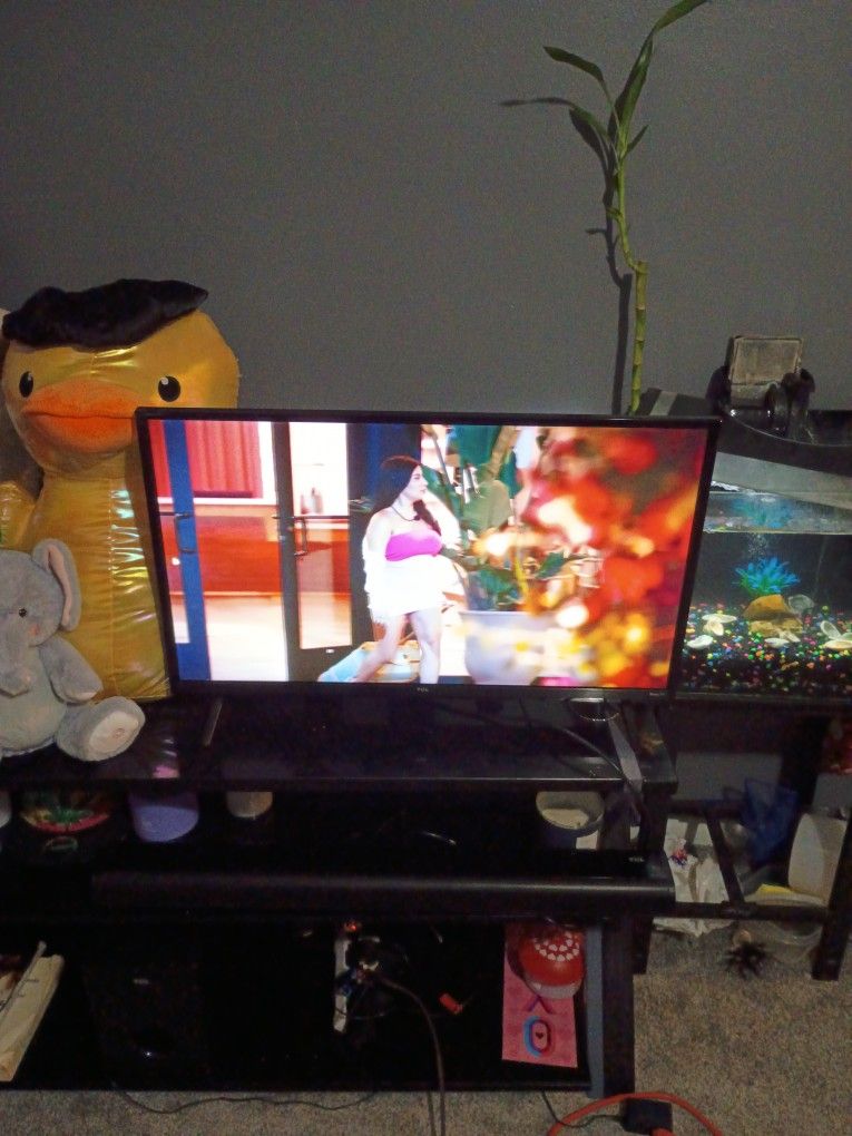 32 Inch Roku Tv