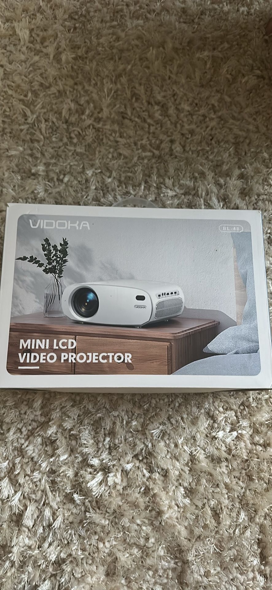 Projector
